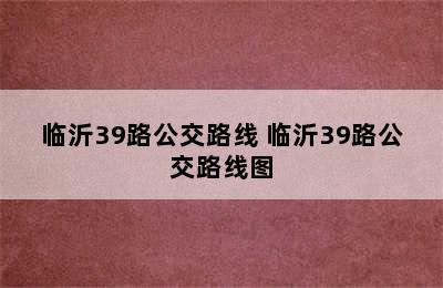 临沂39路公交路线 临沂39路公交路线图